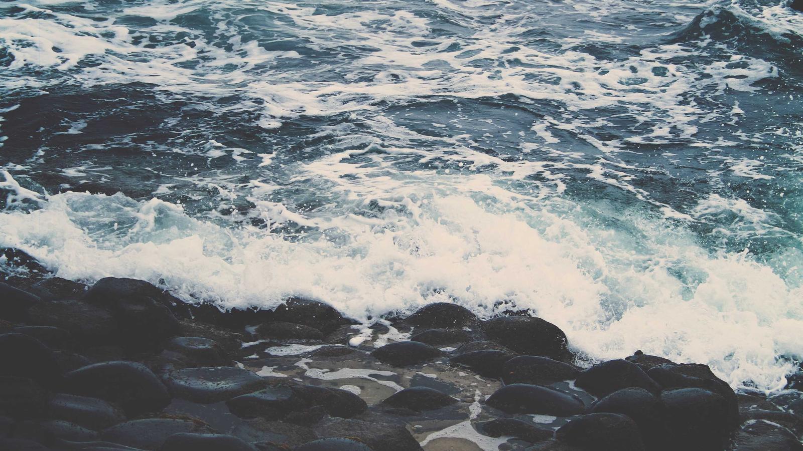 20% extra en basicos